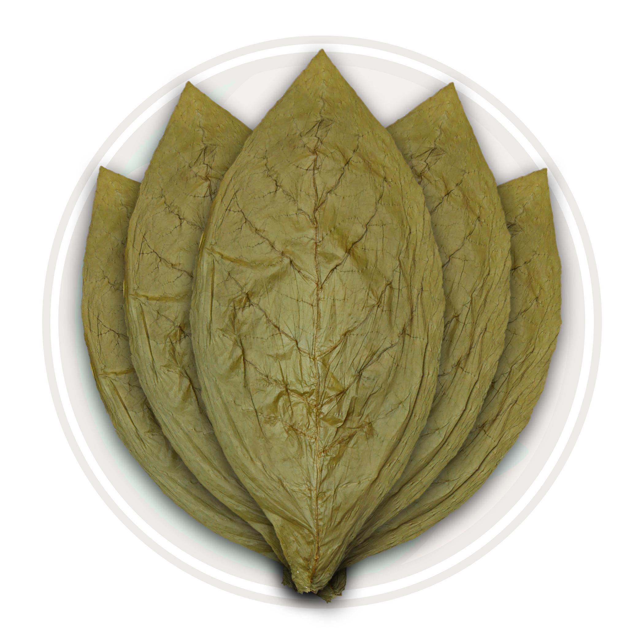 Candela Cigar Wrapper Tobacco Leaf